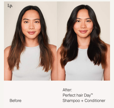 شامبو مثالي للشعر اليومي (حجم كامل)