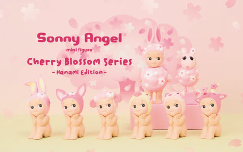 Cherry Blossom Series -Hanami Edition- box set (6pieces)